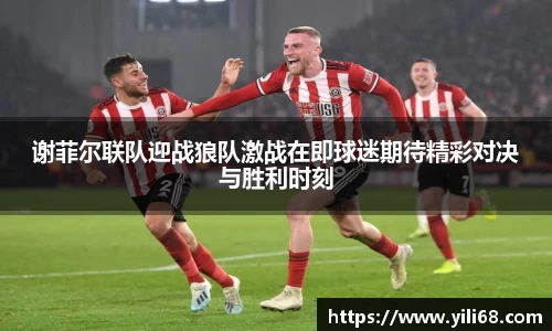 谢菲尔联队迎战狼队激战在即球迷期待精彩对决与胜利时刻